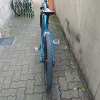 MTB fuji