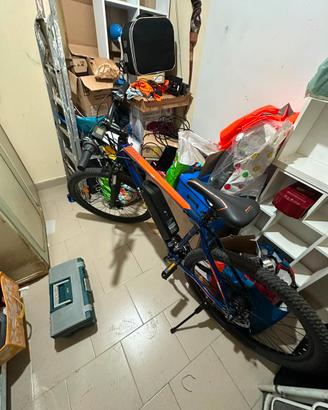Bicicletta elettrica