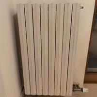 Termosifoni in ghisa