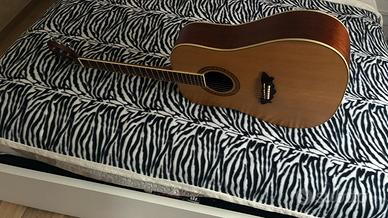 Chitarra washburn