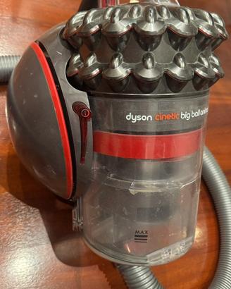 Dyson big ball animal pro rosso