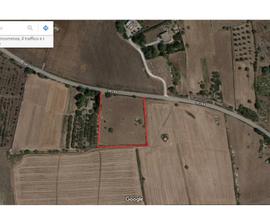 Terreno Agricolo Comune di vernole