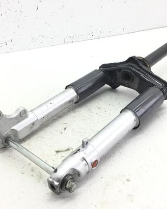 PIAGGIO ZIP 4T 50 FORCELLA FODERI STELI E PIASTRA 