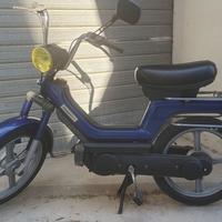 Piaggio Si Blu Variatore + Piaggio Grillo Kick