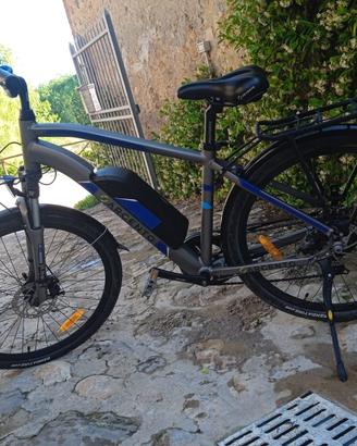 Bicicletta elettrica