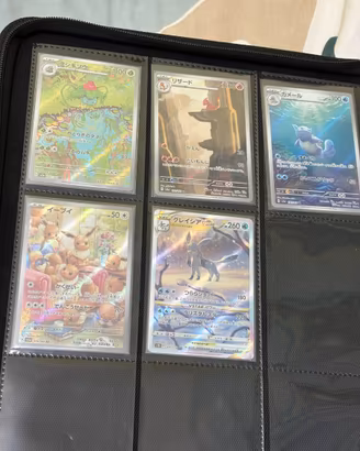 Bandle carte pokemon + raccoglitore vault x