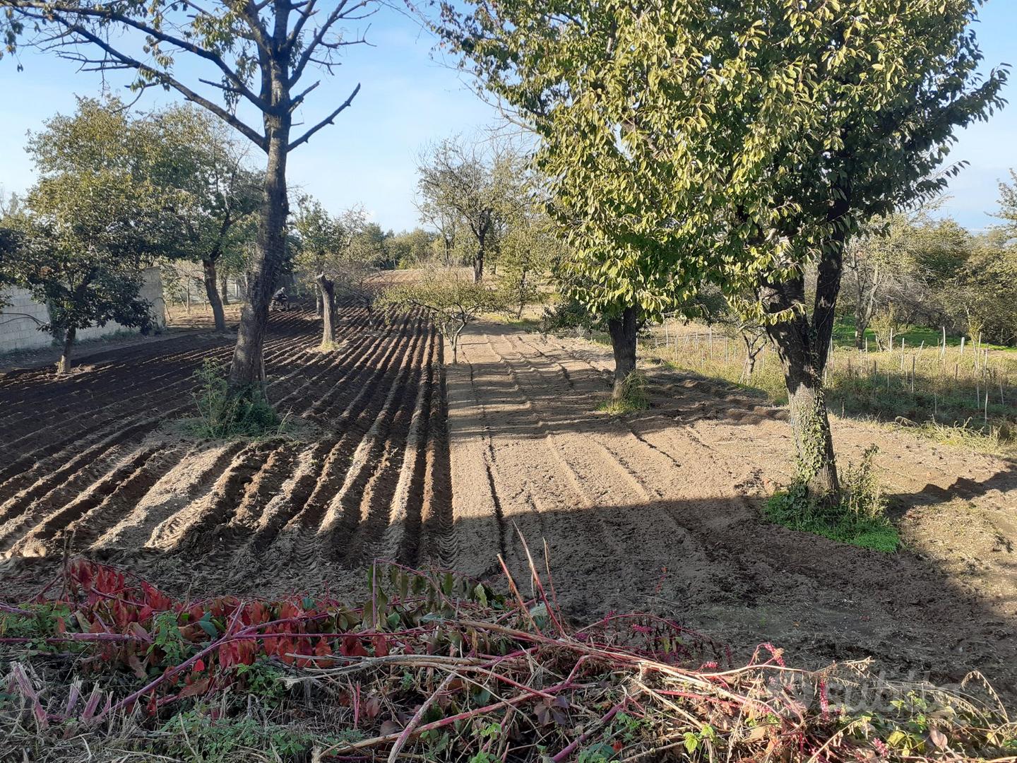 Terreno agricolo - Vista 3