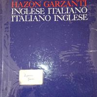 DIZIONARI di Inglese e francese 