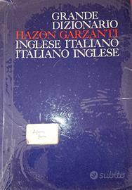 DIZIONARI di Inglese e francese 