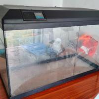 Acquario 120lt Tenerif 88 Askoll