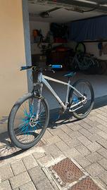 Bici Whelly bike