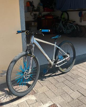 Bici Whelly bike