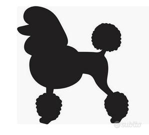 Toelettatuta avviata