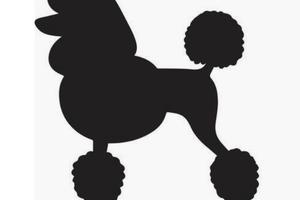 Toelettatuta avviata