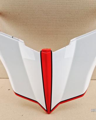 CARENA CODONE DUCATI 999R