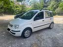 fiat-panda-1-1-actual
