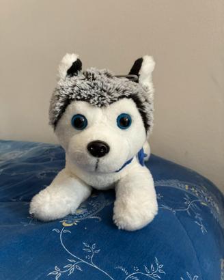 peluche husky