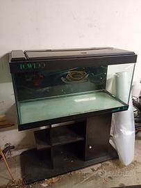 acquario 