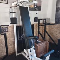 PECTORAL MACHINE TECHNOGYM serie Lux