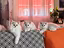 Immagine 4