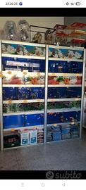 batteria acquario 
