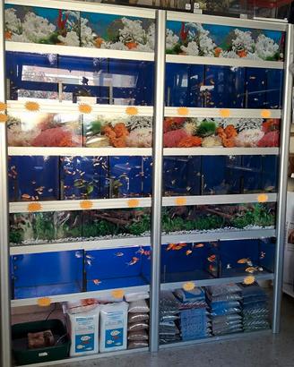 batteria acquario 