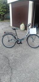bicicletta 