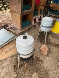 Mangiatoie e bevitori galline