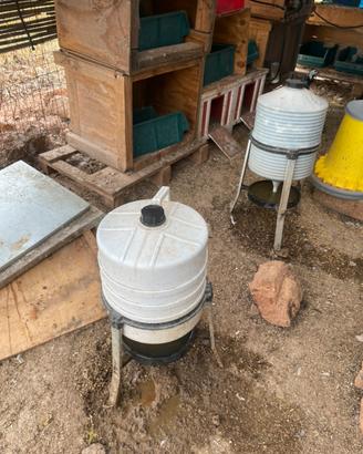 Mangiatoie e bevitori galline
