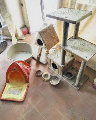 Lotto accessori per gatti 