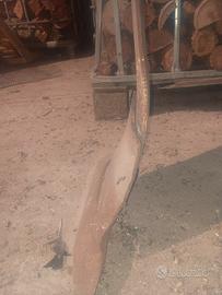 Ancore ricambi