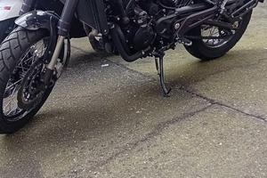 benelli leoncino 500