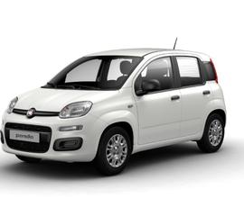 Fiat Panda 1.0 Hybrid 70cv