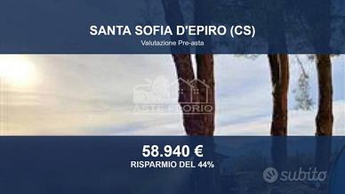 Immobile in asta di 19088 m² a Santa Sofia d'Epiro