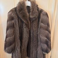 Marmotta Canadese