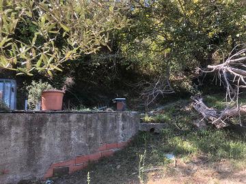 Terreno - San Pier Niceto