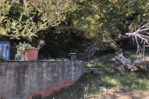 Terreno - San Pier Niceto