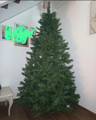 Albero, 2,40 m