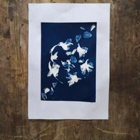 quadro sfondo blu