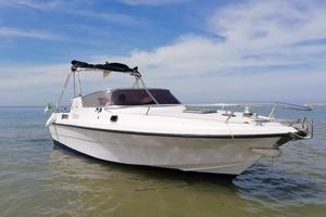 Petteruti Grinta Day 7mt Yamaha 225