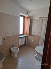 Cascinale bifamiliare ristrutturato con giardino