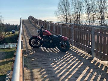 harley sporster
