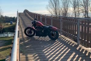 harley sporster
