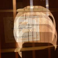 Chitarra Takamine  EG333C  limited edizione