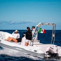 Gommone predator 599