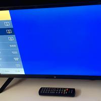 Tv Monitor Majestic 24 "