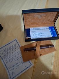 Penna Stilografica Waterman