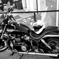 ? Triumph Speedmaster 865 - 2011 - ECCELLENTE