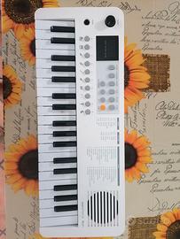 PIANOLA ECHORD