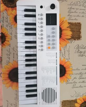 PIANOLA ECHORD